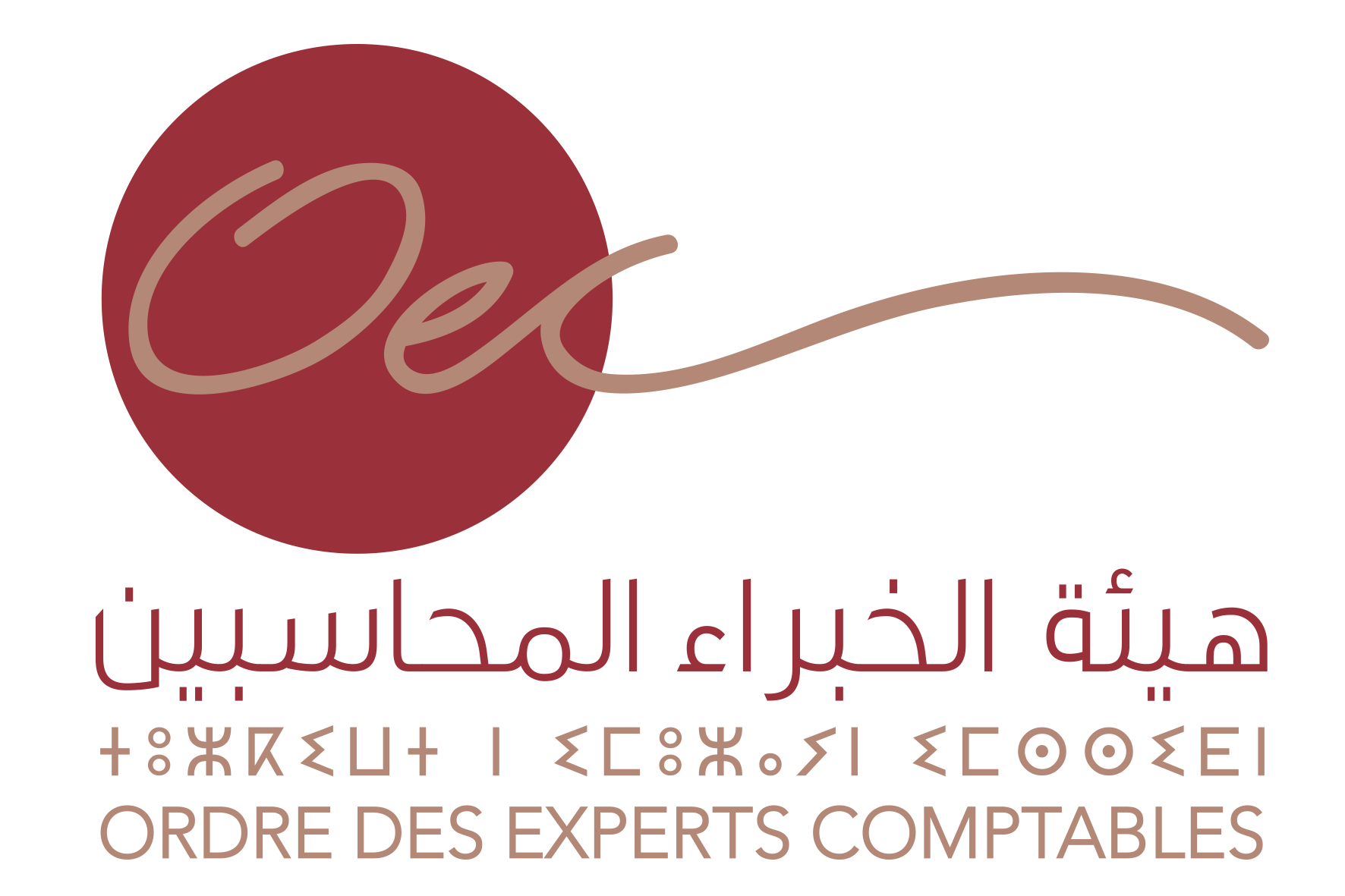 Ordre des experts-comptables du Maroc